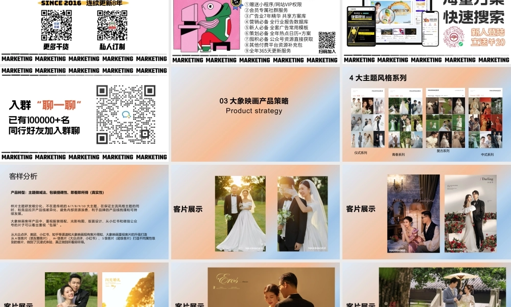 大象映画品牌调研报告 (2).pptx