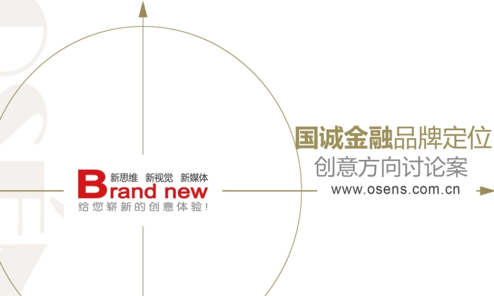 59.欧赛斯国诚金融品牌定位及创意方向.ppt