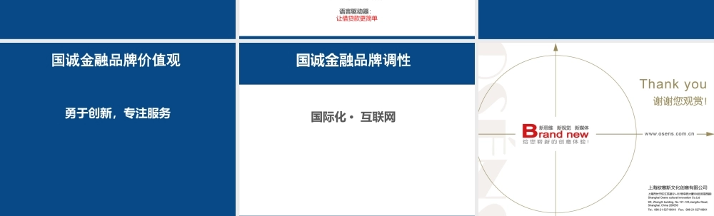 59.欧赛斯国诚金融品牌定位及创意方向.ppt