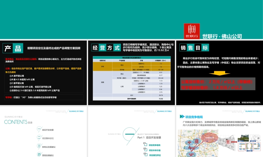 24.佛山苏宁广场定位及物业发展建议-世联出品.pptx