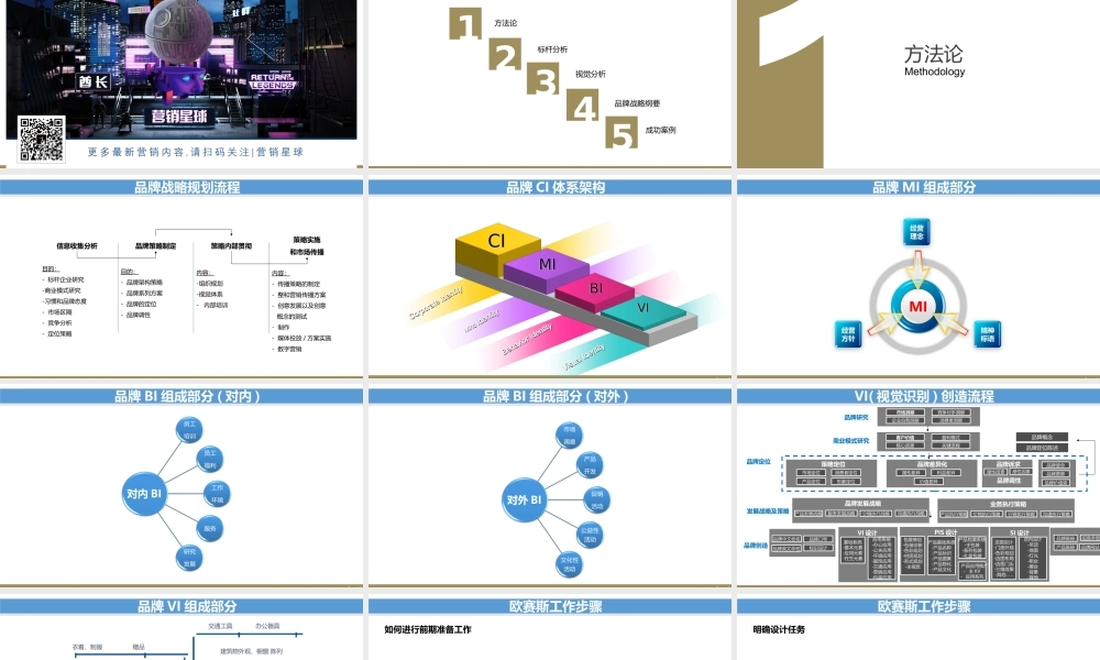 42.欧赛斯百奥财富品牌战略规划思路方案.ppt