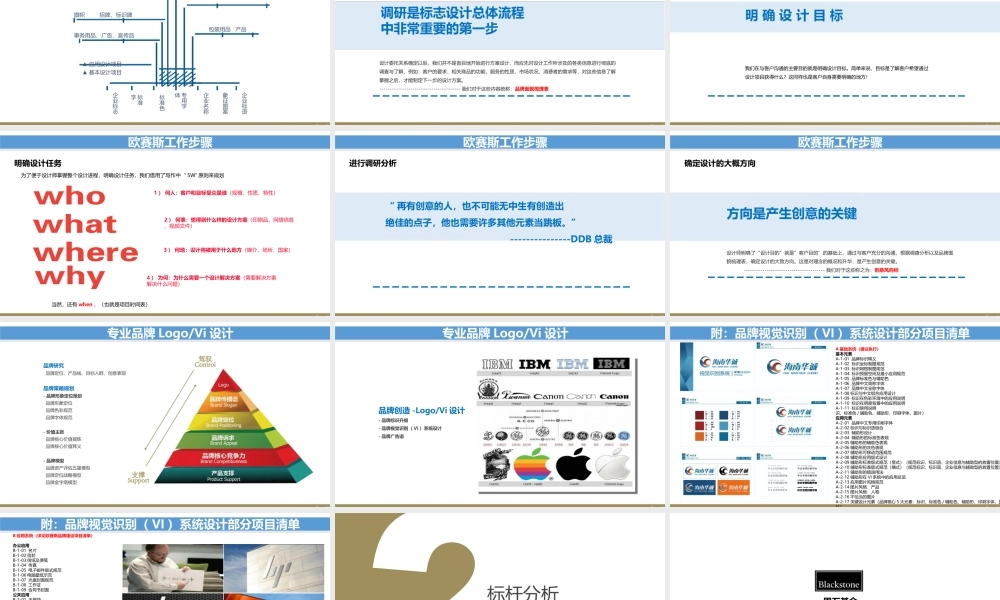 42.欧赛斯百奥财富品牌战略规划思路方案.ppt
