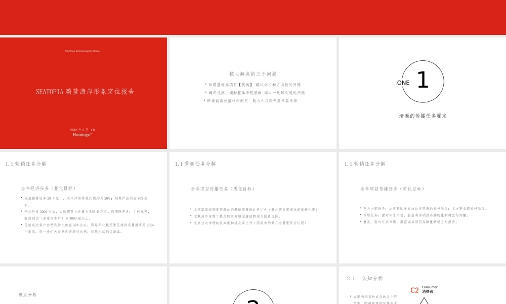 38.红鹤集团-SEATOPIA蔚蓝海岸形象定位报告2018.5.pptx