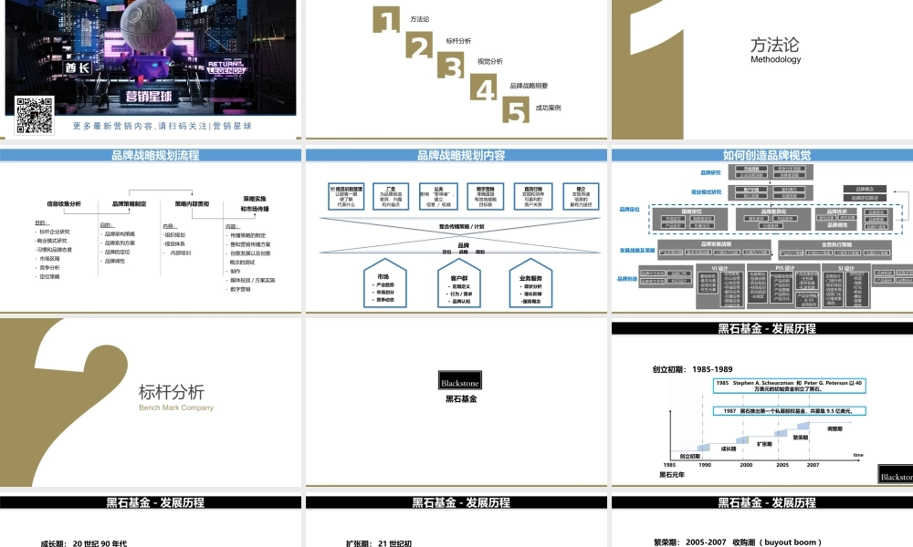 49.欧赛斯中财沃顿品牌战略规划思路方案new.ppt