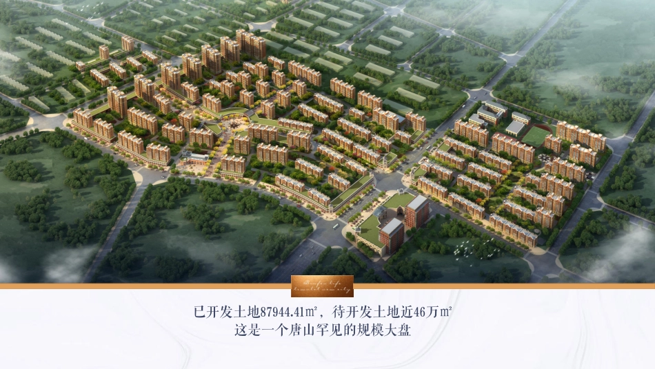 2022小镇项目全案销售代理营销竞标方案.pdf_第2页