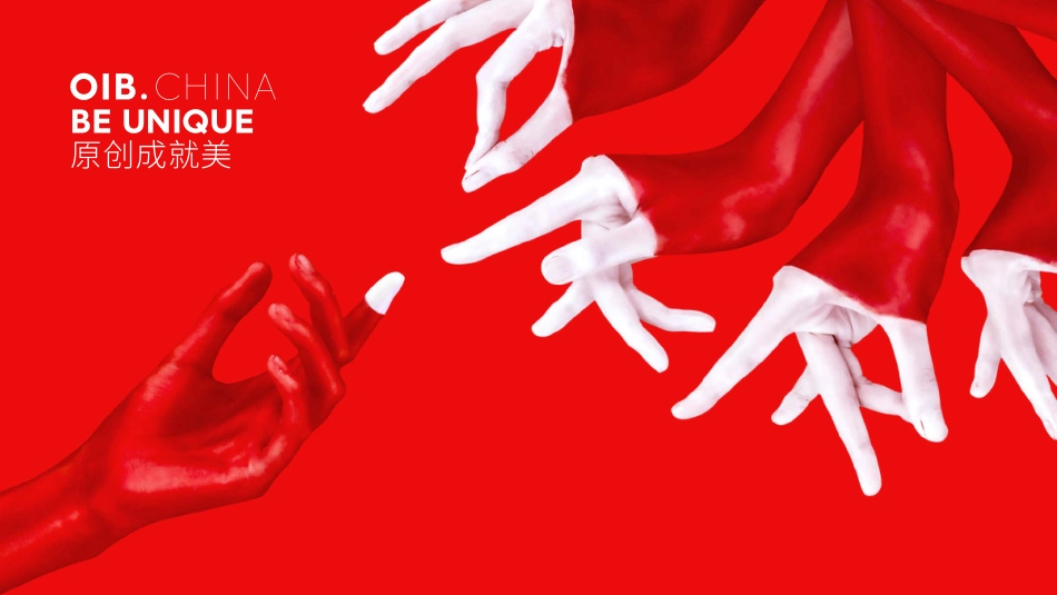 OIB原创设计公司介绍.pdf_第3页