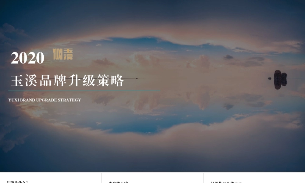 25.2020玉溪品牌升级策略方案.pptx