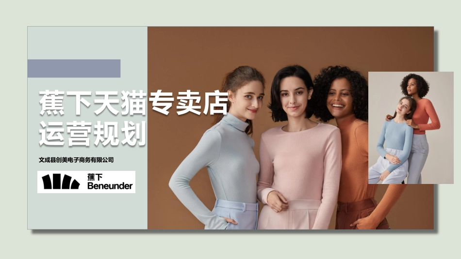 20.2020蕉下天猫专卖店运营规划.pdf_第1页