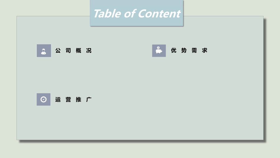 20.2020蕉下天猫专卖店运营规划.pdf_第2页