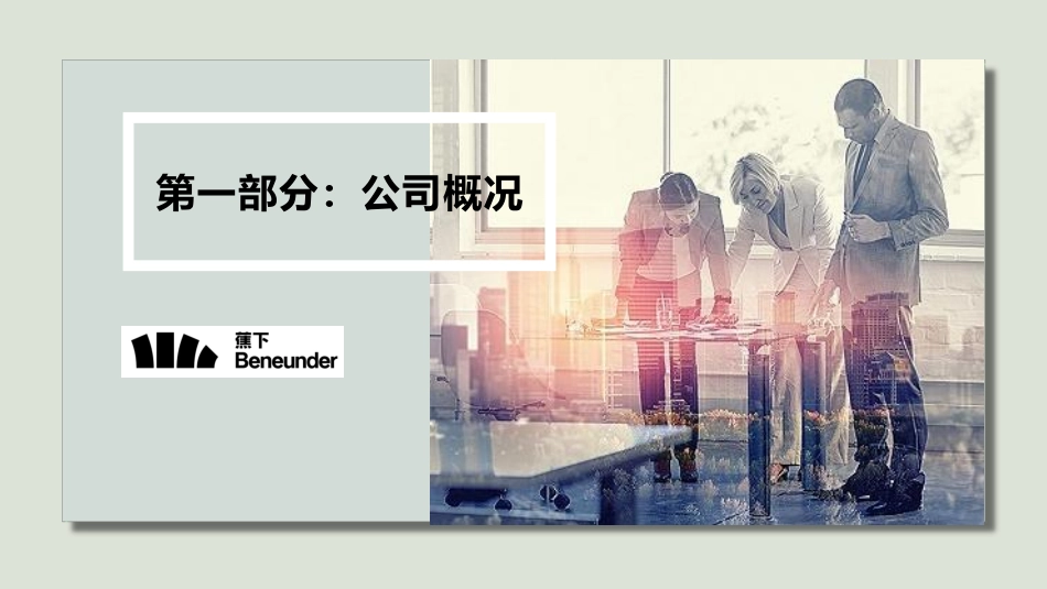 20.2020蕉下天猫专卖店运营规划.pdf_第3页