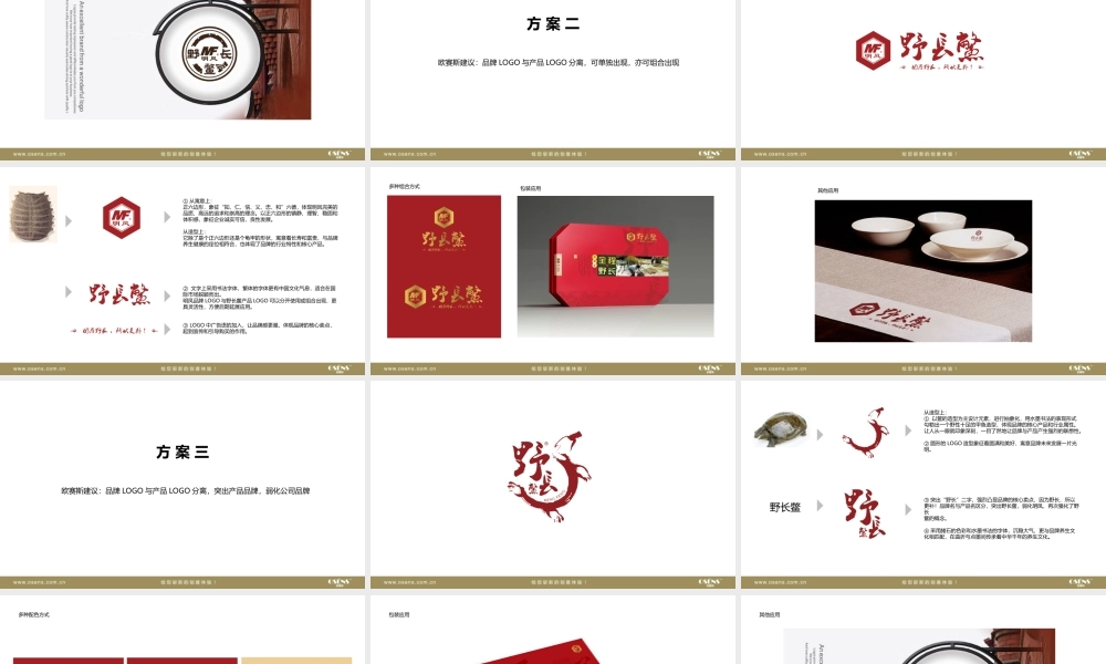 35.明凤 logo设计方案MF.ppt