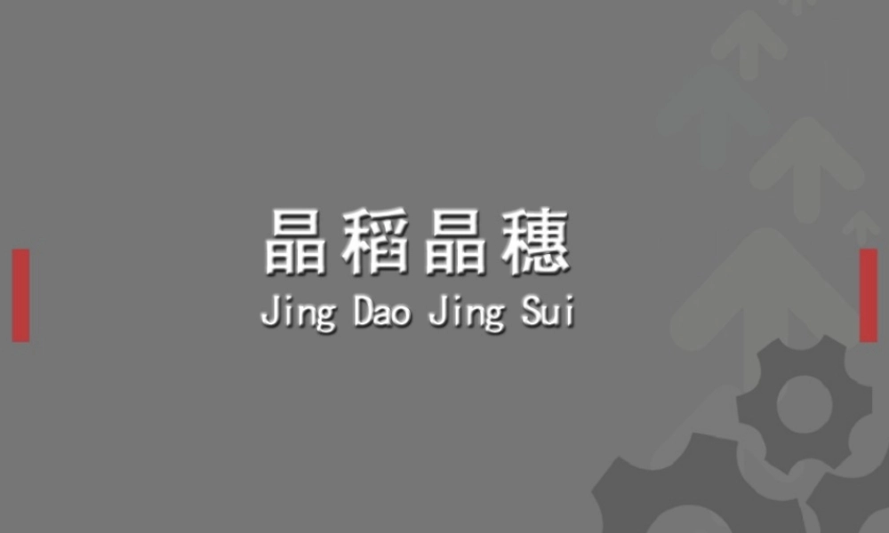 52.欧赛斯晶稻晶穗品牌设计规划手册方案.ppt