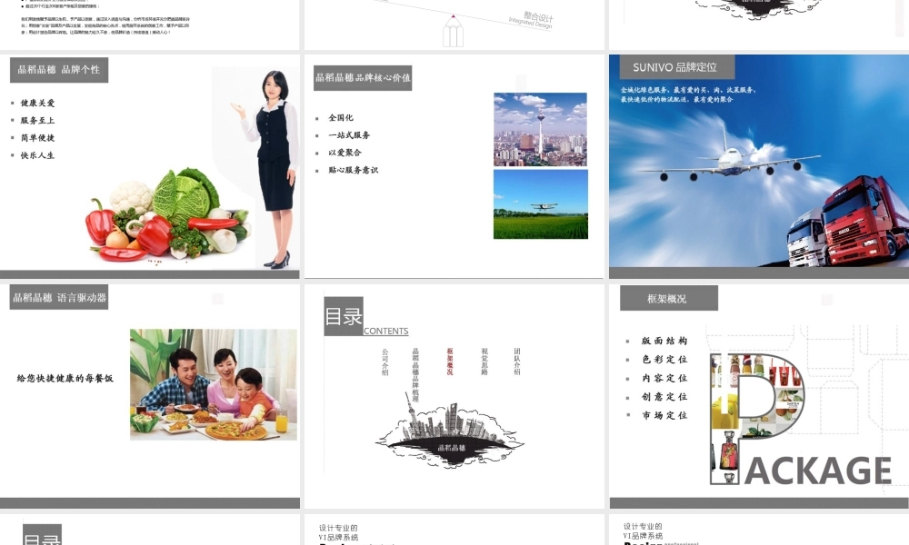 52.欧赛斯晶稻晶穗品牌设计规划手册方案.ppt