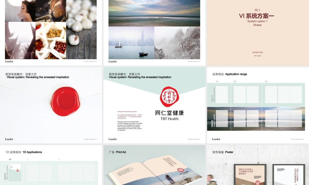 78.同仁堂健康母品牌项目设计提案.pptx