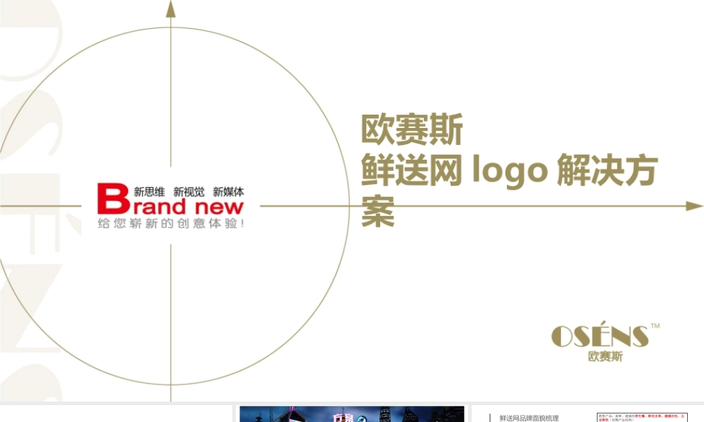 85.鲜送网logo解决方案.ppt