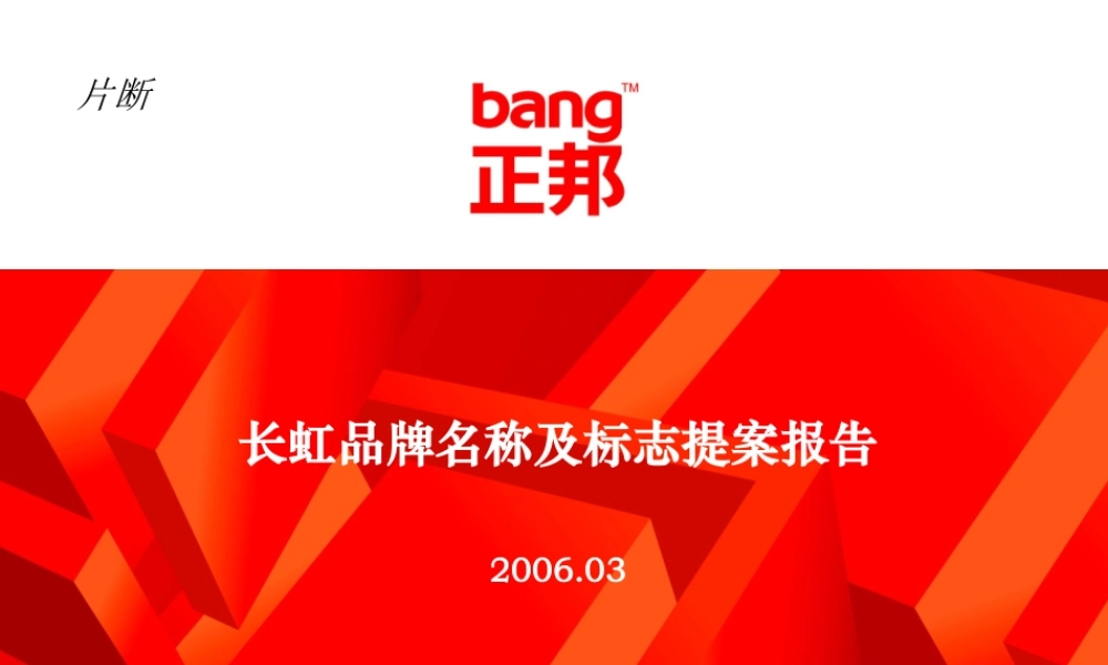 92.正邦品牌命名案例.ppt