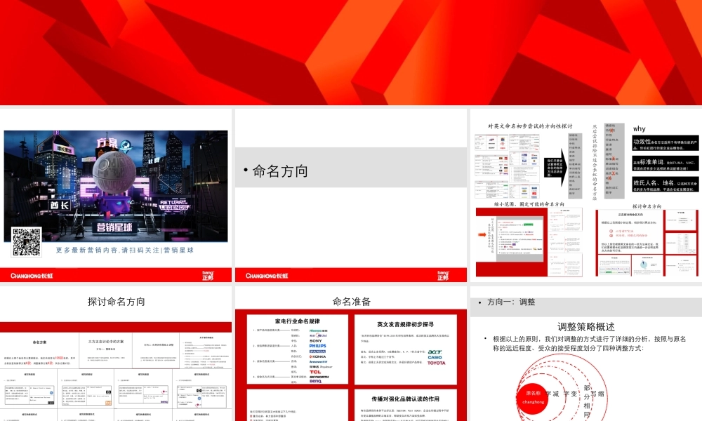 92.正邦品牌命名案例.ppt