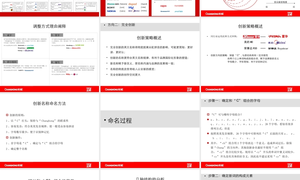 92.正邦品牌命名案例.ppt