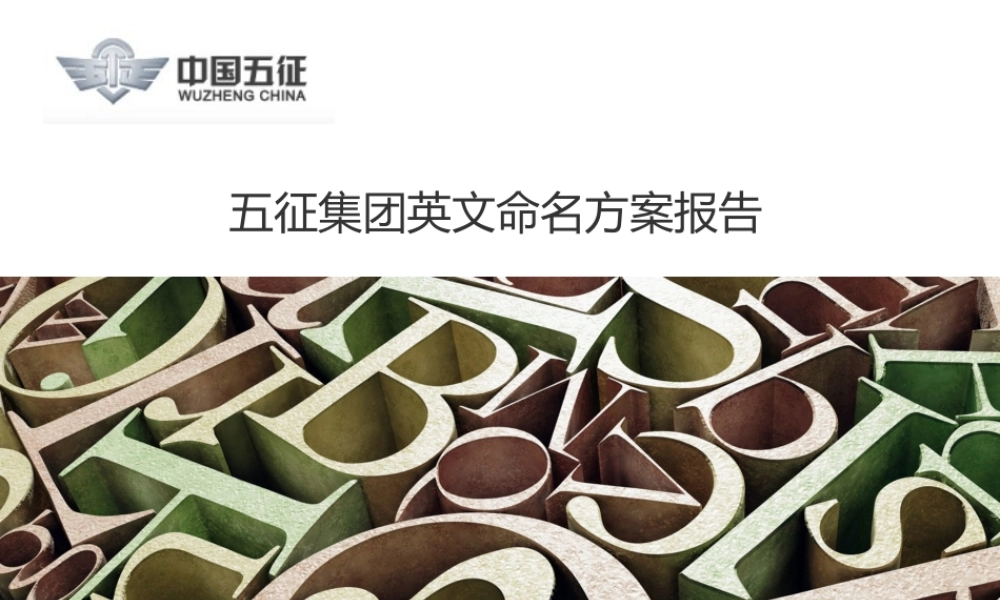 91.正邦 品牌命名方案.ppt