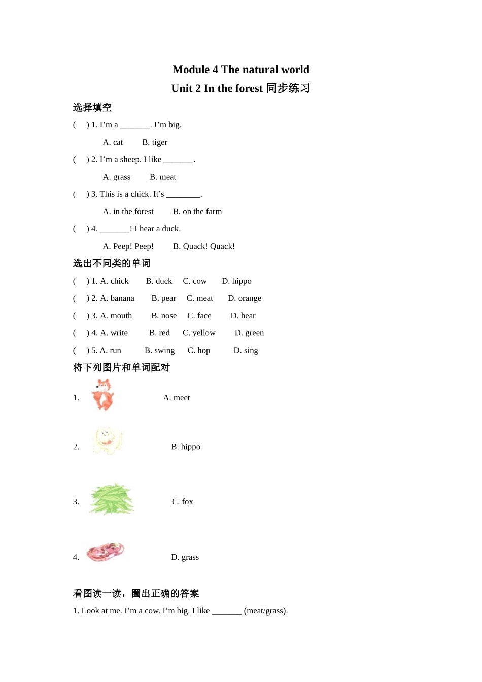 module 4 unit 2 in the forest 同步练习（含答案）.doc_第1页