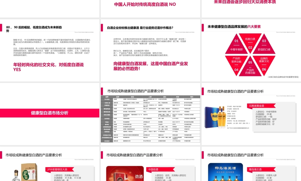 132.长江同济堂健康型白酒新品牌咨询设计方向提案.pptx