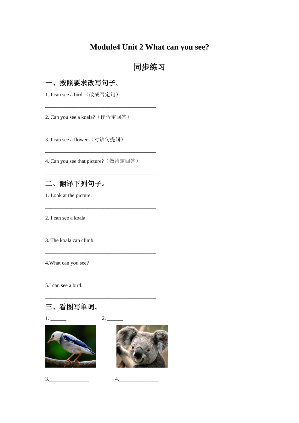 Module 4 Unit 2 What can you see.同步练习.doc_第1页