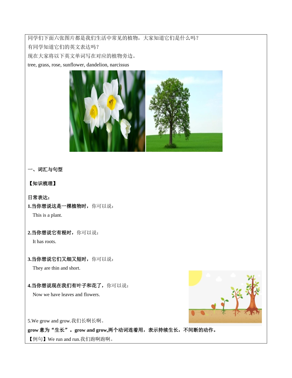 牛津英语-英语-三年级-第13讲-M4U3重点词汇句型语法复习 教师版.docx_第2页