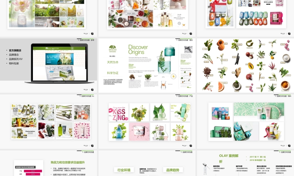 145.一叶子旗舰店品牌交流.pptx