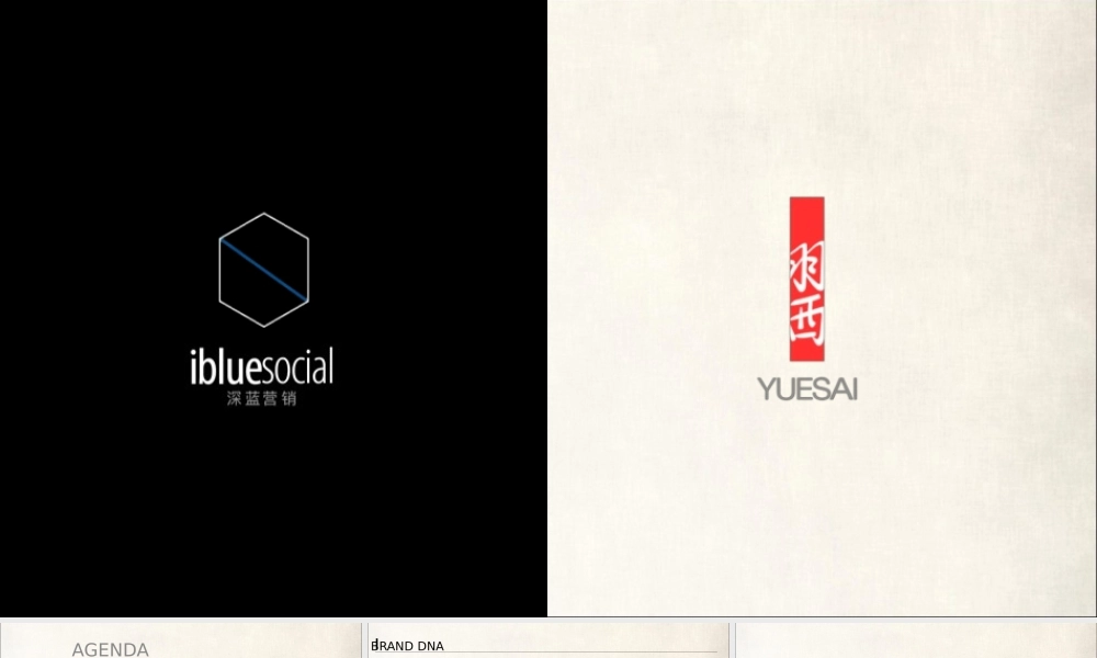 158.ibluesocial羽西双微运营方案.pptx