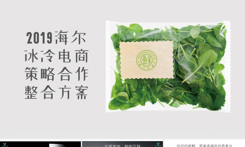 2020（广告）海尔冰冷电商策略合作整合方案广告视觉设计.pptx