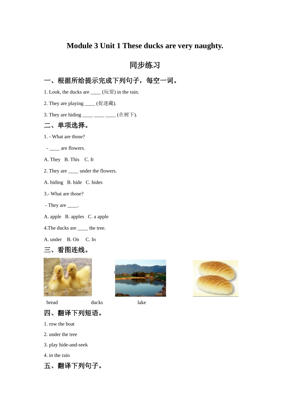 Module 3 Unit 1 These ducks are very naughty.同步练习.doc_第1页