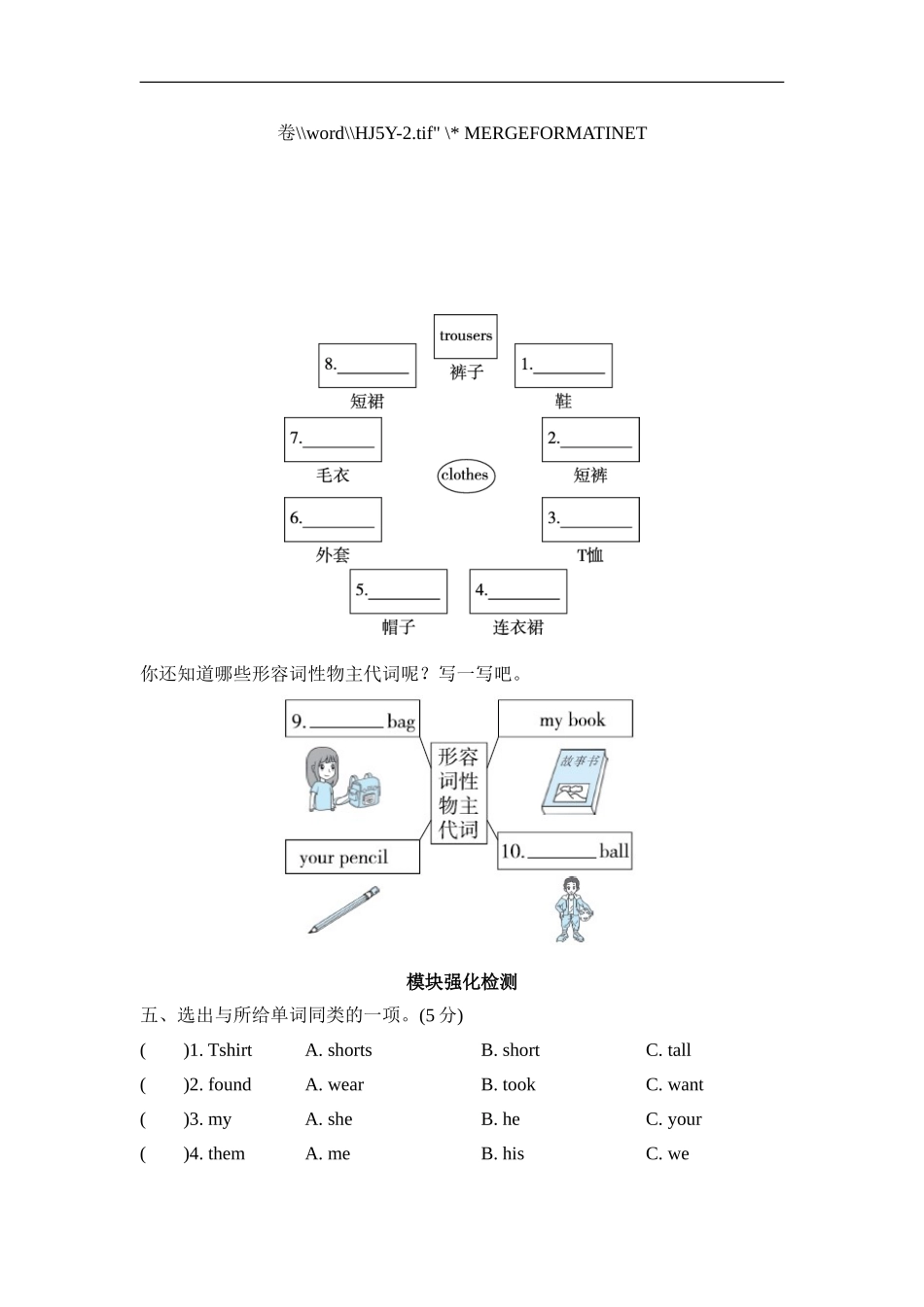Module4 模块知识梳理卷.doc_第2页