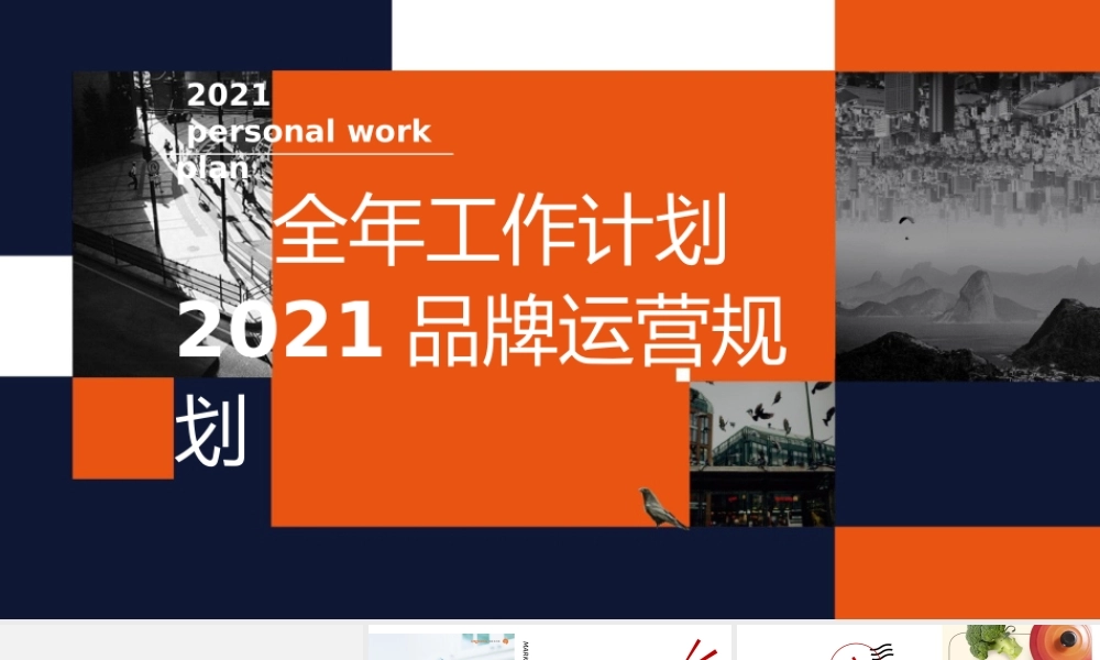 LioLio婴儿食品市场部全年规划方案.pptx