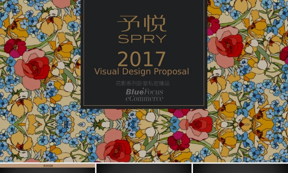 50.华劲花影系列品牌抽纸全案提案（外传踢）.pptx