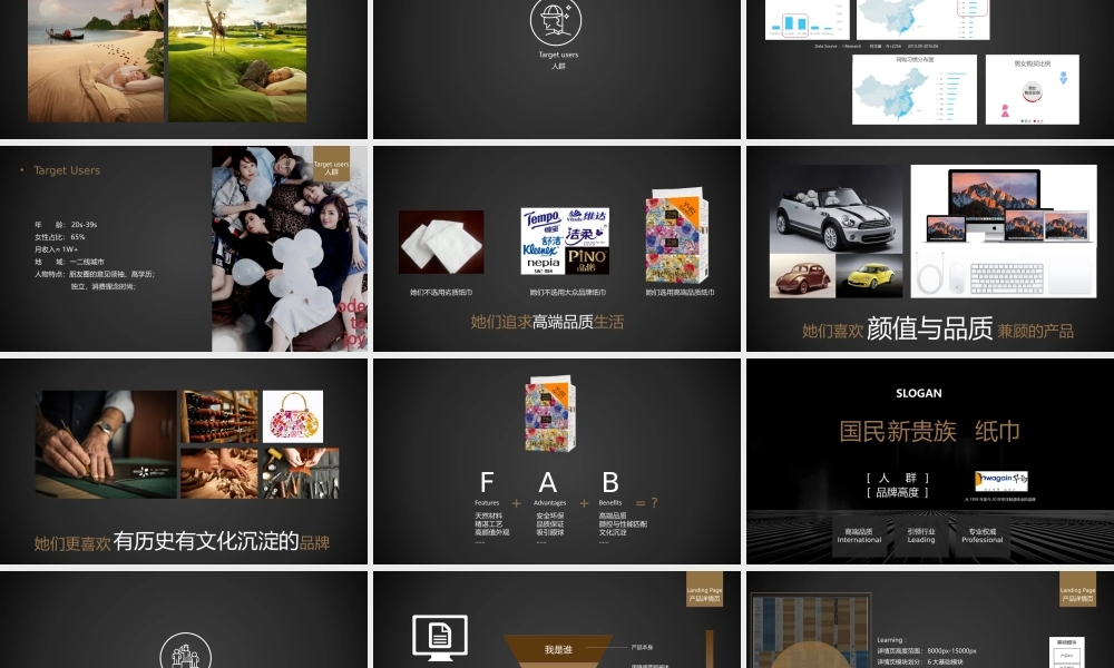 50.华劲花影系列品牌抽纸全案提案（外传踢）.pptx