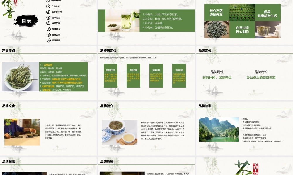 62.朴先森茶叶品牌策划案.pptx