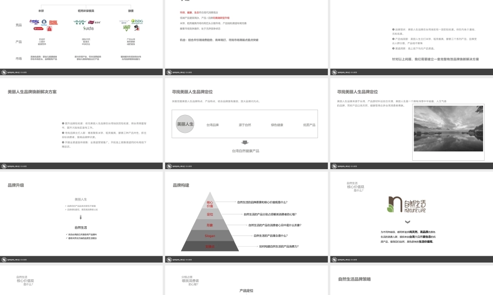 56.美丽人生品牌营销方案.pptx