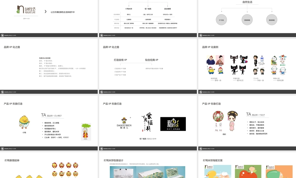 56.美丽人生品牌营销方案.pptx