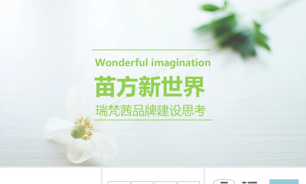 71.瑞梵茜品牌建设思考.pptx