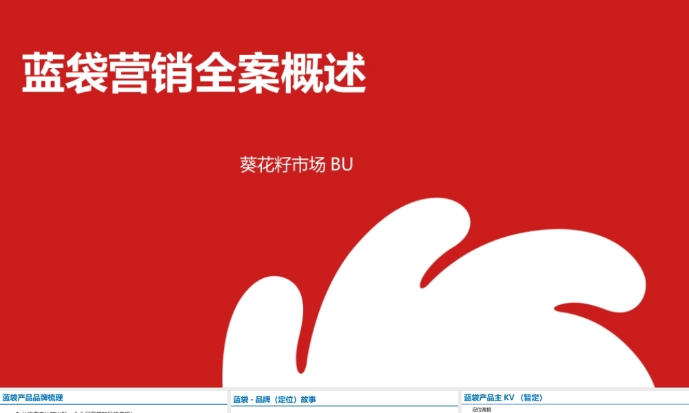 65.洽洽蓝袋营销全案.pptx