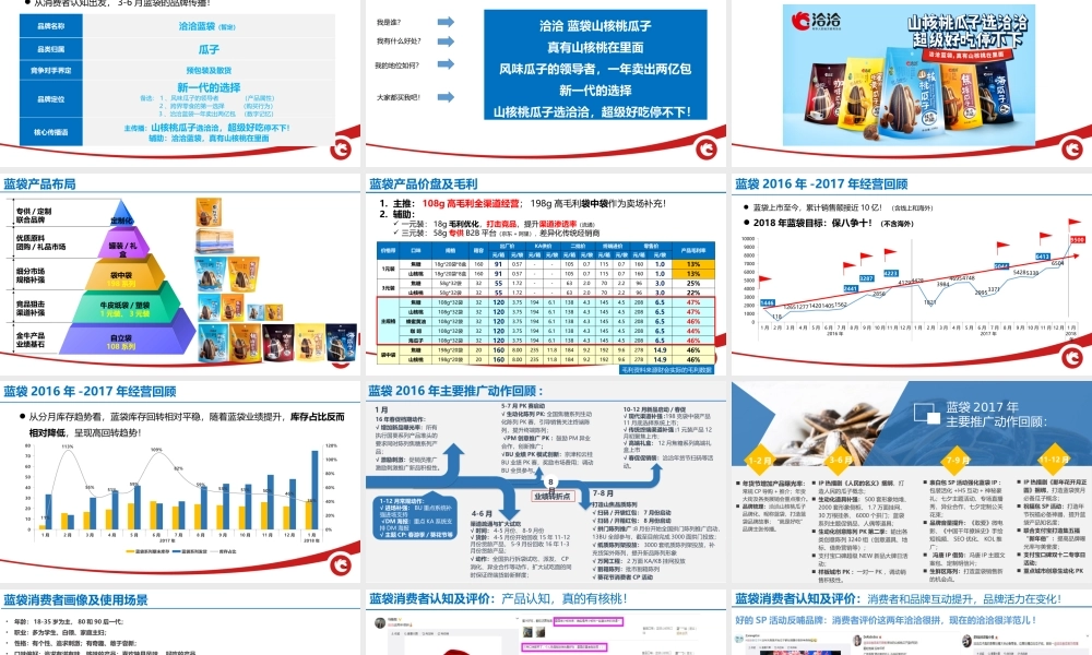 65.洽洽蓝袋营销全案.pptx