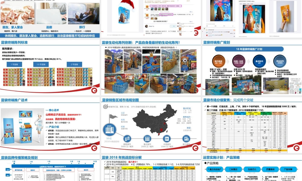 65.洽洽蓝袋营销全案.pptx