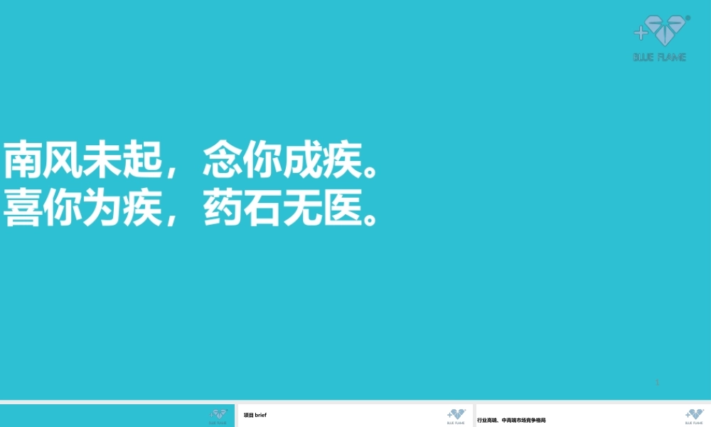 83.通灵珠宝的方案.pptx