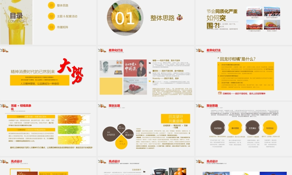 78.首届湖南永州（回龙圩）柑橘节策划方案.pptx