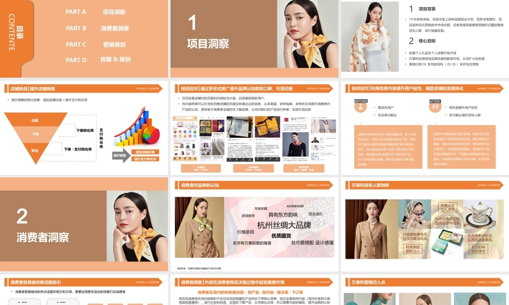 87.万事利墨镜全年规划方案.pptx