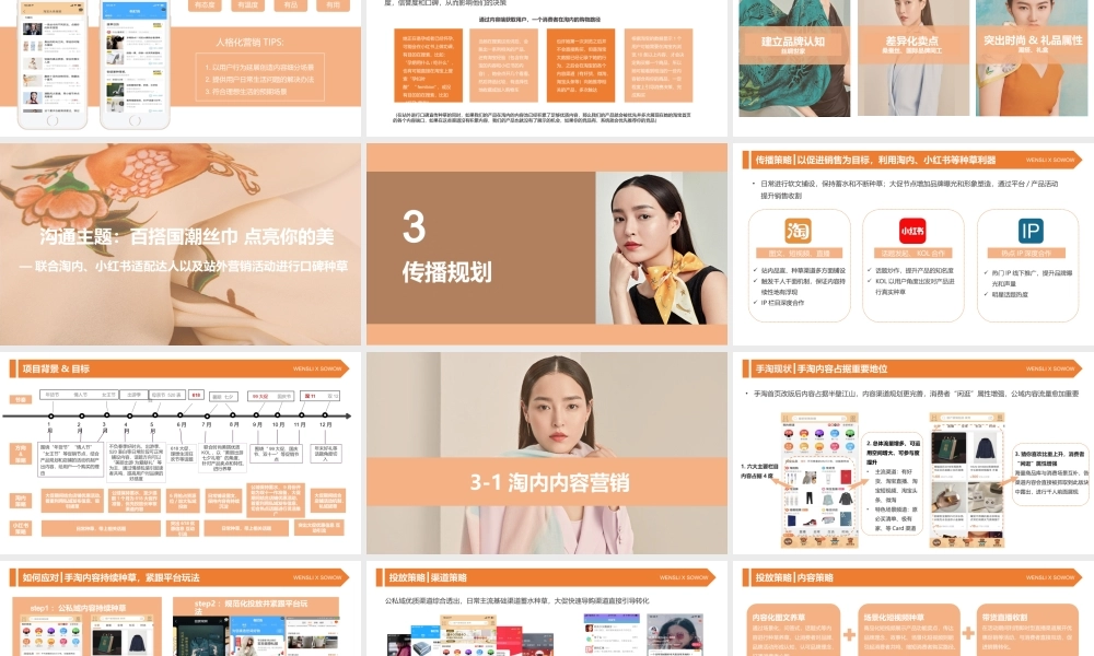 87.万事利墨镜全年规划方案.pptx