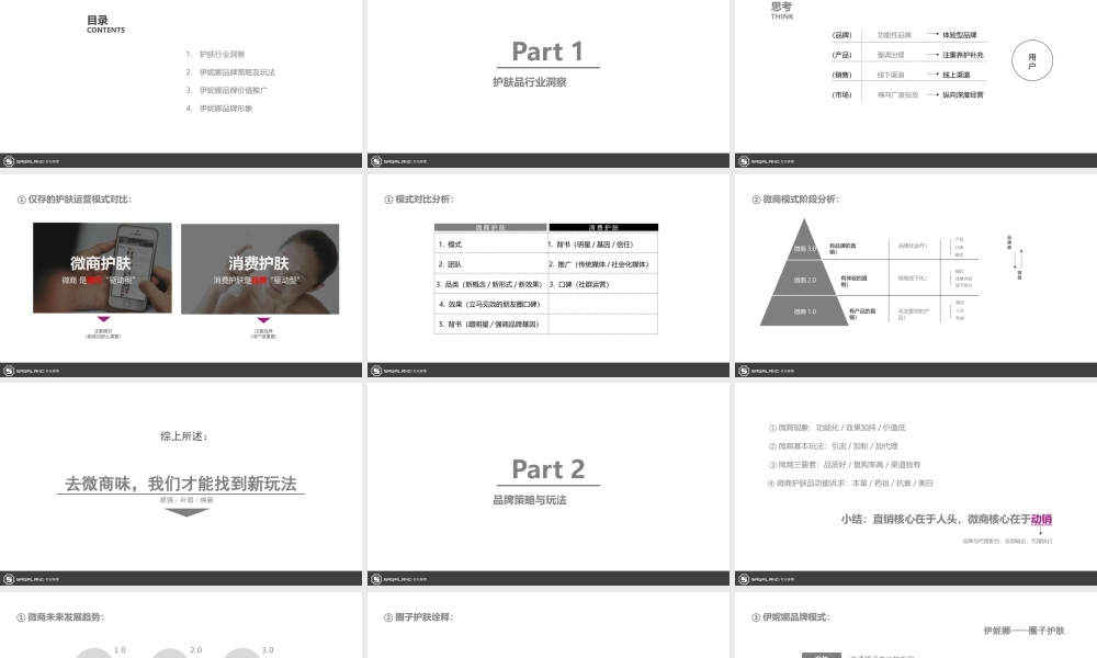 96.伊妮娜品牌专案.pptx