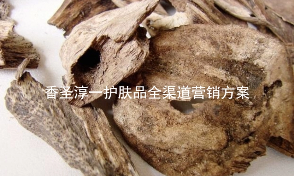 91.香圣淳一护肤品全渠道营销方案.pptx