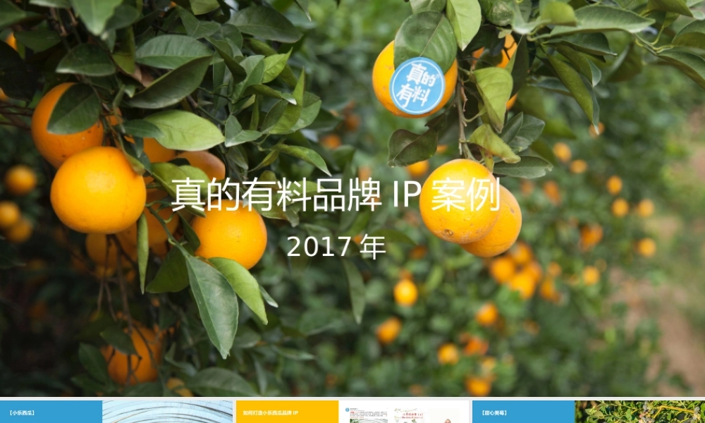 102.真的有料品类品牌展示.pptx