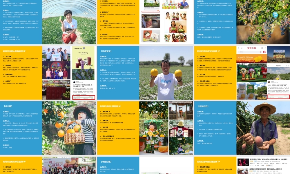 102.真的有料品类品牌展示.pptx